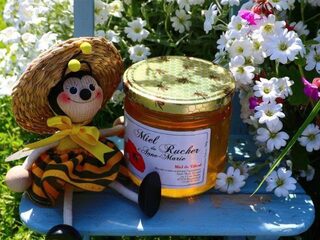 Le Rucher d'Anne-Marie : rencontre avec une apicultrice passionnée