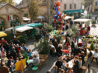 Fête de la Courge