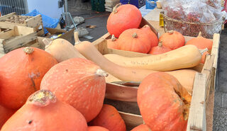 Fête de la citrouille à Martigues