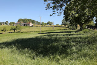 Journée du patrimoine : visite guidée à Sabadel-Latronquière, Châtaigneraie et s