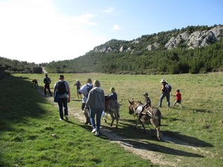 Les rendez-vous du Parc des Alpilles - Les Caisses de Jean-Jean