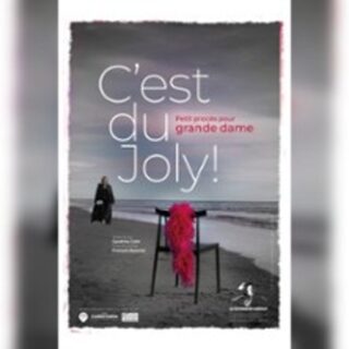 C'est Du Joly ! Petit Procès Pour Grande Dame, Théâtre Pierre De Lune