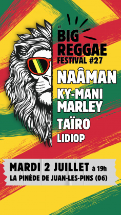 LE BIG REGGAE FESTIVAL #27 Naâman + Ky-Mani Marley + Taïro + Lidiop !