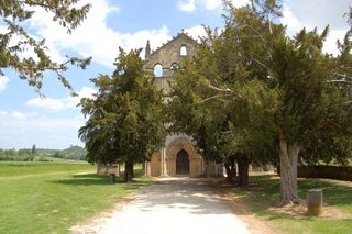 Visite libre de l'abbaye et de la bastide de Blasimon