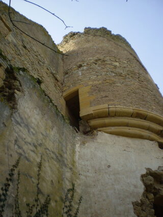 Visite des ruines du château et des moulins de Moulin l'Arconce