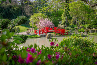 Explorez le jardin japonais avec un guide