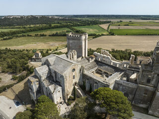 A la découverte de l'abbaye de Montmajour
