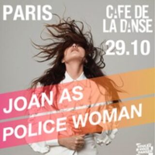 Joan as Police Woman