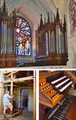 Démonstration : présentation du grand orgue Cavaillé-Coll, des vitraux et de la 