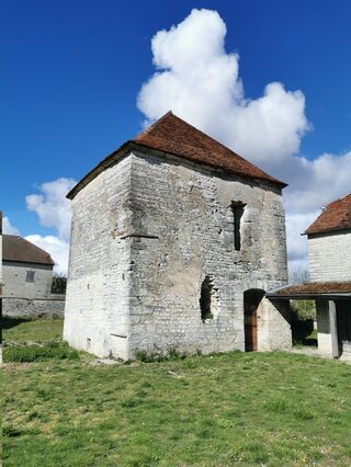 Visite d'une tour seigneuriale de l'abbaye de Clairvaux