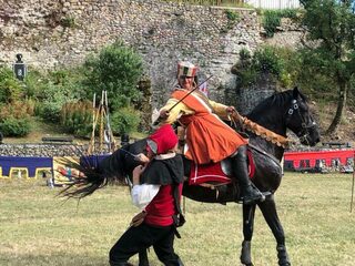 Spectacle de combat médiéval à pied et à cheval