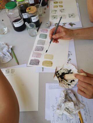 Atelier exploration des pouvoirs colorants des plantes - Manolita Filippie