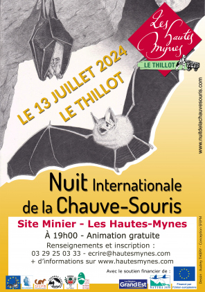 Nuit internationale de la chauve-souris aux Hautes-Mynes du Thillot
