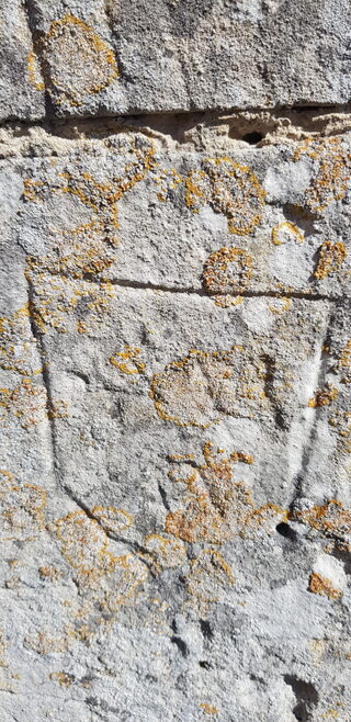 Visite guidée : identifier les anciens graffitis de plusieurs centaines d'années