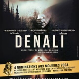 Denali - Une pièce de Nicolas Le Bricquir - Théâtre Marigny, Paris