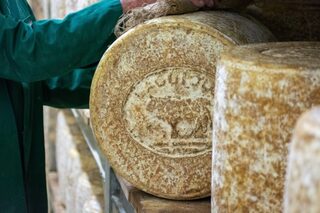Visite guidée sur la fabrication du fromage !