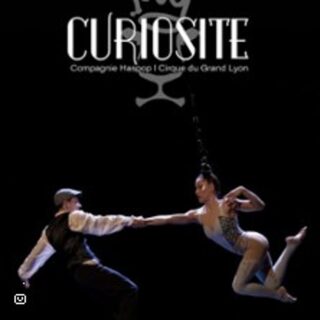 Cirque Du Grand Lyon - Curiosité