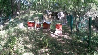Découverte des ruches du Fort