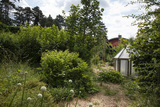 Visite de l'école d'art de Belfort et de ses jardins suspendus