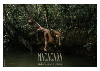 Macacada, étude d'une singe brésilienne