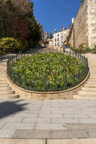 Visite guidée : Blois au temps de Denis Papin