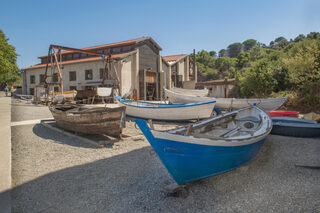 Visite guidée de l'Atelier des Barques