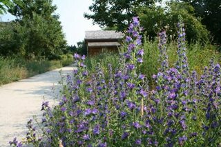 Parcours : Promenade dans le passé de la Coulée verte