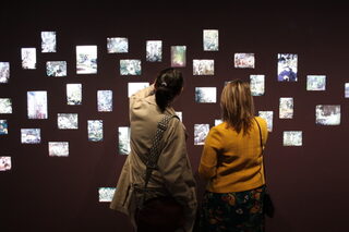 Visite de l'exposition « Natures Vivantes »