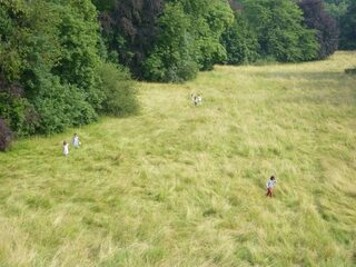 Jeu de piste à la découverte du parc de la Fondation des Artistes