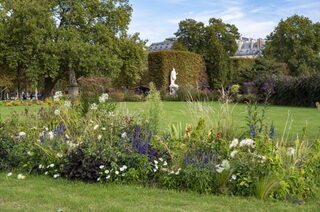 Visite promenade : À la découverte du jardin des Tuileries