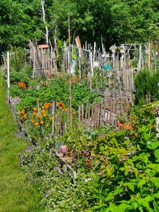 La nature, alliée du jardinier