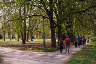 Visite guidée à pied – Randonnée avec le Club Vosgien - boucle exploratoire au f