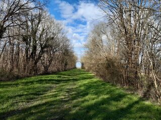 Randonnée du patrimoine autour des bois de la Bastière à Annezay !