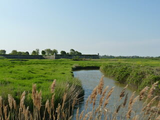 Brouage, riche d'histoire et de nature !