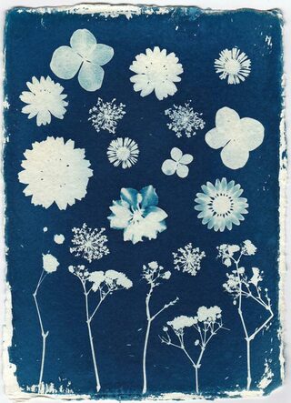 Ateliers de pratique artistique - Atelier cyanotype