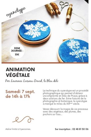 Animation végétale