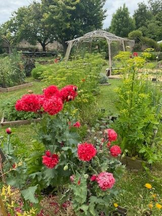 Visite : « relais nature de la Moulinette »