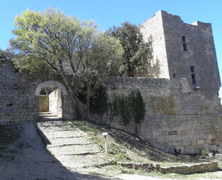 À la découverte du site de Gicon : un promontoire rocheux chargé d'histoire et d