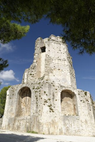 Découvrez la tour Magne à Nîmes