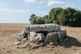 Randonnée patrimoine : le Dolmen de la Pierre Laye