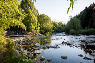 Balade au fil de l'eau