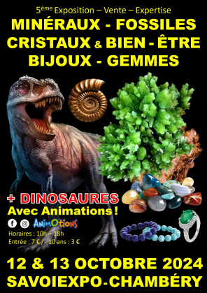 5ème Salon Minéraux Fossiles Cristaux Bijoux et Gemmes  + Dinosaure