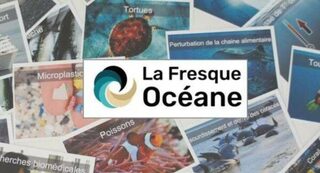 Fresque océane : comment protéger nos océans ?