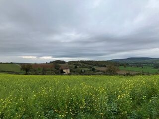 Visite commentée des extérieurs et éléments architecturaux du château d'Agriez