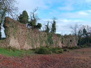 Visite commentée des ruines de la Bâtie d'Azieu à Genas