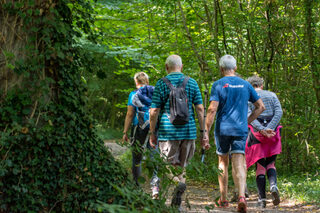 Marche familiale à Thiembronne