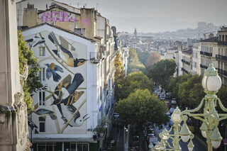 Vernissage de la fresque d’Audubon