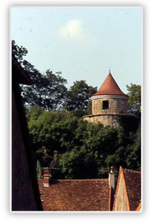 Visite guidée de la tour du Paradis à Poligny