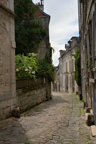 Hôtel Particulier