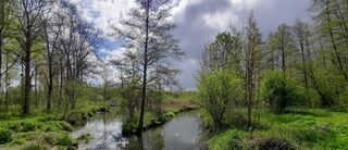 Visite Guidée – Gestion du Parc Jean-Jacques Rousseau